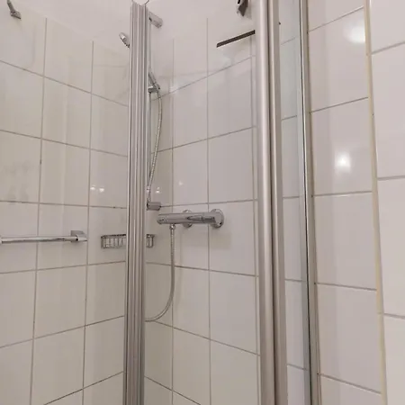 Binzer Sterne 22